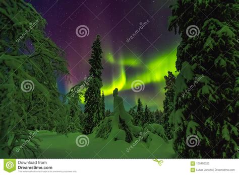 Aurora Boreal En El Final Laponia Imagen De Archivo Imagen De