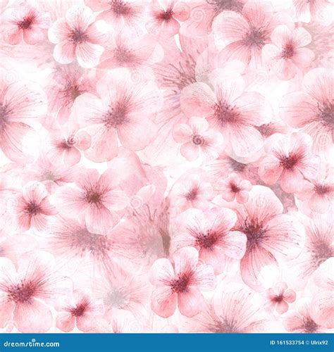 Seamless Pattern Pink Cherry Blossoms On White Background Vector