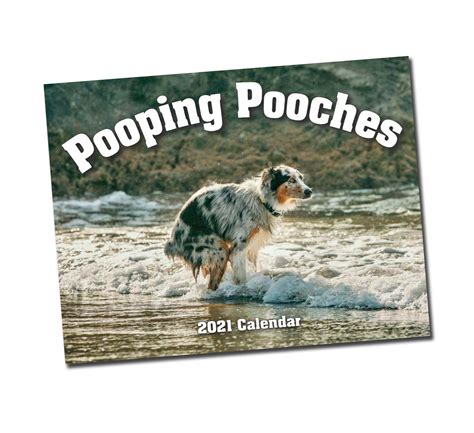 Dogs Pooping Calendar 2024 Calendar 2024
