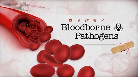 Bloodborne pathogens training free osha. Course Promo: Bloodborne Pathogens - YouTube
