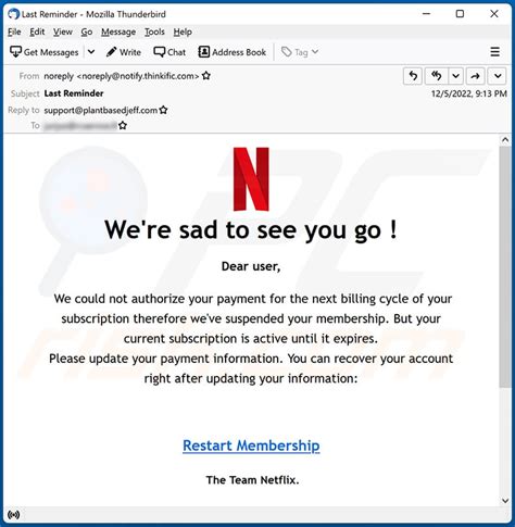 Netflix Weve Suspended Your Membership Email Scam Removal And