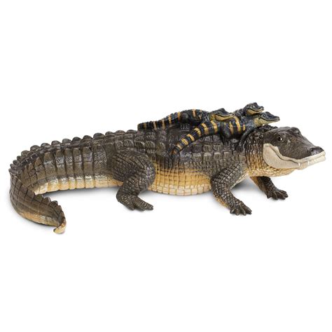 Plastic Toy Alligators Wow Blog