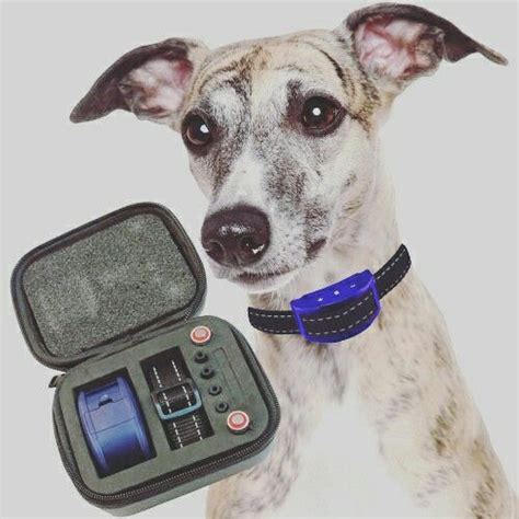 Pin By Our K9 On Dog Training Products Instax Mini Fujifilm Instax
