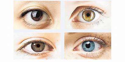Eye Drops Lightening Eyes Change Changing Colour