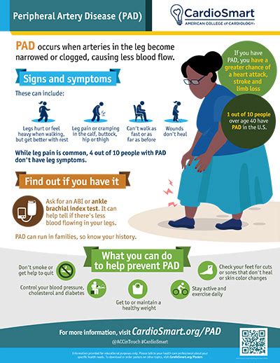Peripheral Artery Disease Infographic Cardiosmart American College Of Cardiology