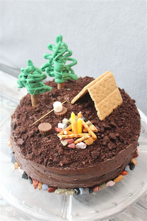 Smores Camping Cake Feeling Nifty Round Cake Pans Round Cakes