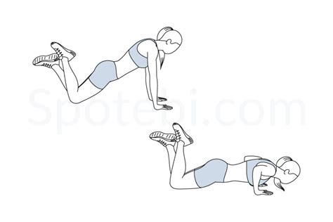 Knee Push Up Illustrated Exercise Guide