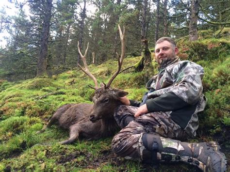 3 Day Sika Stag Or Four Horned Sheep Hunt For One Hunter In Ireland