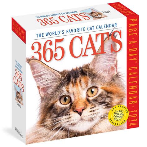 365 Cats 2024 Page A Day Calendar By Workman Publishing Kittery