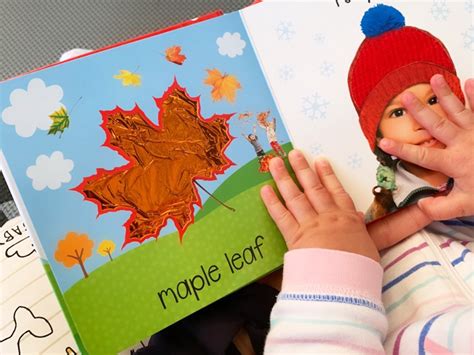 Some Of Our Favourite Board Books For Babiestoddlers