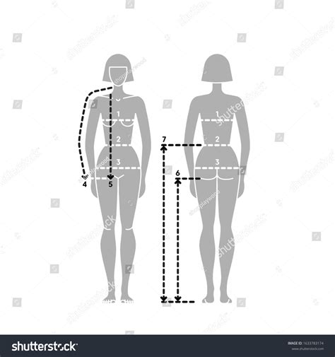 woman body measurements taking measurement vector stock vector royalty free 1633783174