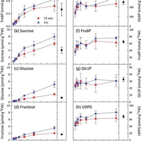 Effect Of Mannoheptulose On Sucrose And Hexose Induced Increases In The