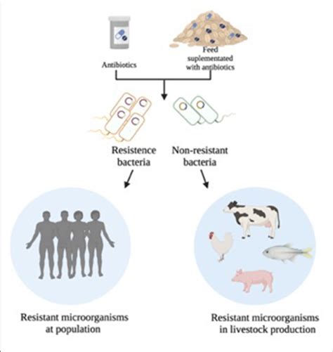 Representation Of Antibiotic Resistant Bacteria In Different