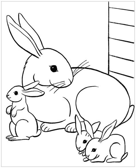 Rabbit And Bunnies Coloring Pages For Kids Rabbits And Bunnies Kids