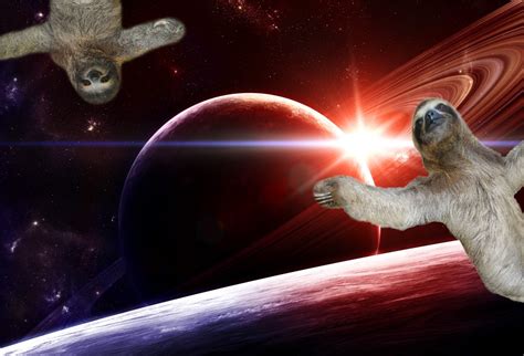 Space Sloth Au
