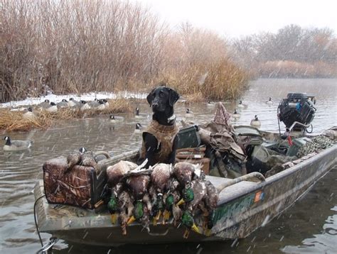 Duck Hunting Strategies And Advices From Experienced Hunters