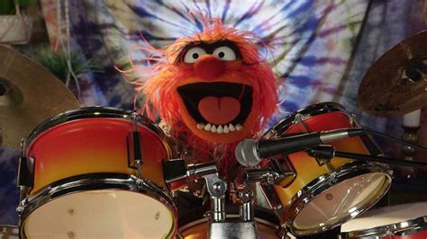 Dr Teeth And The Electric Mayhem Join Outside Lands In 2016 The