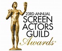 Screen Actors Guild Awards 2017