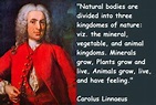 Carolus Linnaeus Quotes. QuotesGram