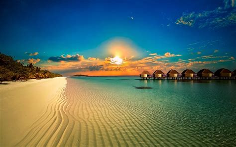 Landscape Nature Beach Resort Palm Trees Sunset