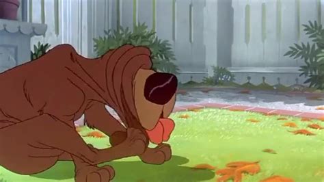 Top Video Clips For Lady And The Tramp 1955 Romance
