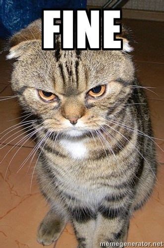 Fine Angry Cat 2 Meme Generator Cute Cats Funny Cats Funny