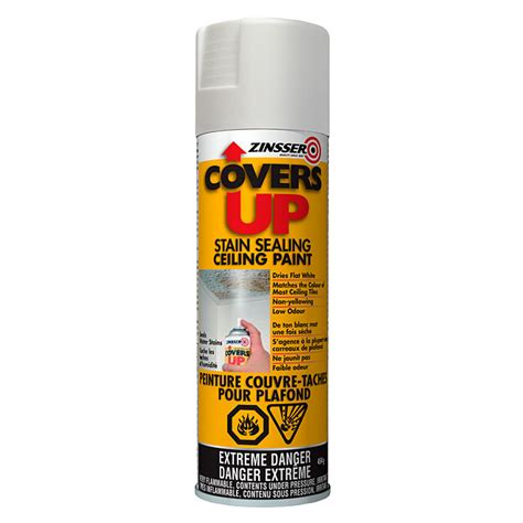 Spray painting a ceiling is 10 times faster than rolling. "Covers Up" Stain-Sealing Ceiling Paint Spray - White | RONA