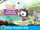 Prime Video: Elinor Wonders Why: That's So Interesting!, Season 1