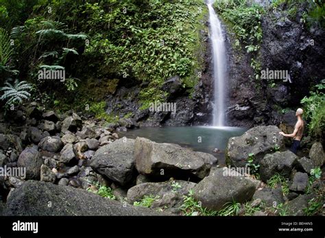 Wasserfall In Tahiti Tahiti Französisch Polynesien Stockfotografie