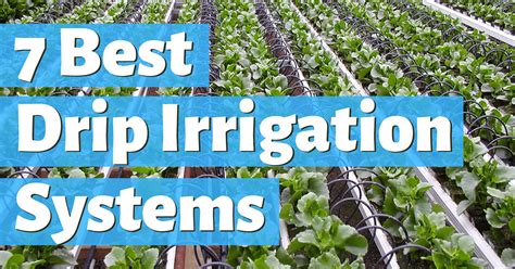 7 Best Drip Irrigation Systems Easy Setup And Total Control