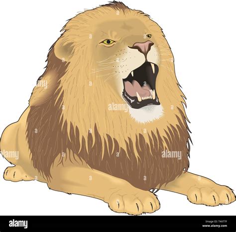 Lion Roaring Vector Illustration Stock Vector Image And Art Alamy