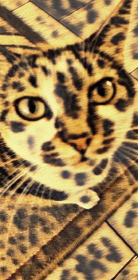 Cheetah Spots Cat Wallpaper By 1artfulangel Download On Zedge 20bb
