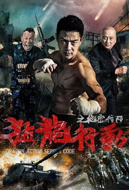 The movie tells the story of a pharmacy owner who starts selling cheaper, generic drugs to poor leukemia patients. ⓿⓿ 2019 Chinese Action Movies - A-E - China Movies - Hong ...