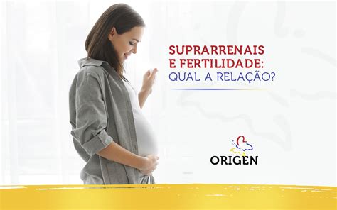 Suprarrenais e fertilidade qual a relação Clínica Origen Fertilização in Vitro