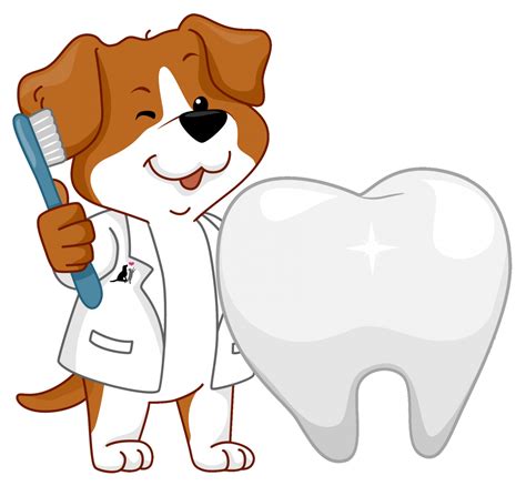 Puppy Dentist Harmony Animal Hospital