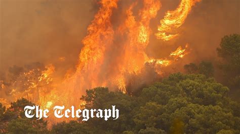 Thousands Flee Homes As Spanish Wildfire Rages On The Costa Del Sol