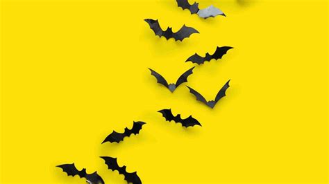 Chiroptophobia Fear Of Bats