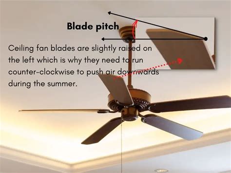 Which Way Do Ceiling Fan Blades Go In Summer Shelly Lighting