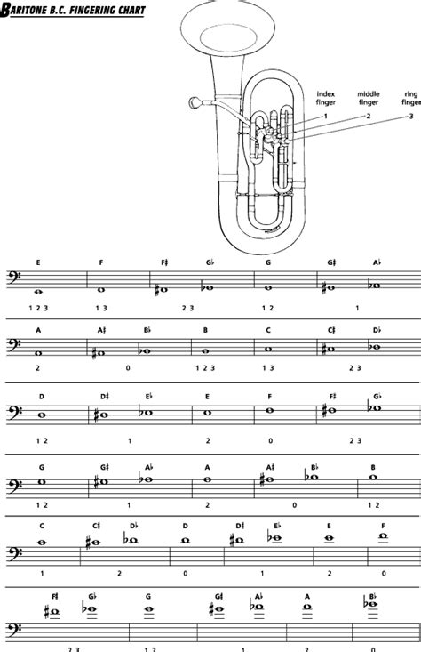 Classical solos for baritone b.c., vol. Welcome to the Glades Middle School Bands Website! - Brass Instruments