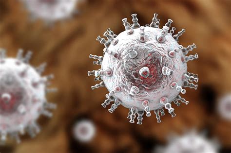 Kaposis Sarcoma Virus Photograph By Kateryna Konscience Photo Library Pixels