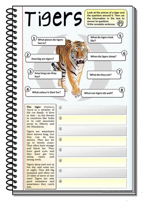 Tigers English Esl Worksheets For Distance Learning And Physical