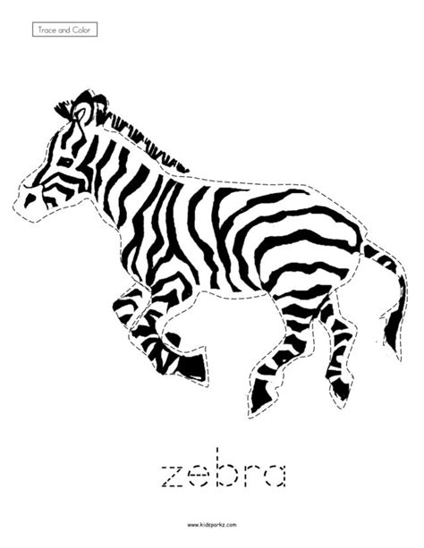 Trace And Color Zebra Worksheet For Pre K 1st Grade Lesson Planet