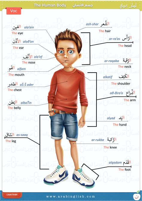 Start studying human body parts (tamil). Body Parts In Tamil Language - 43 best Teaching Tamil ...