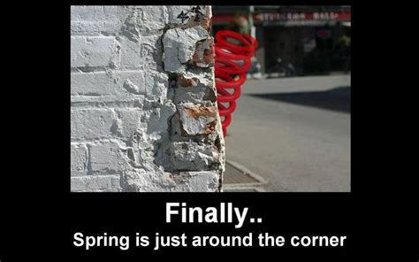 Spring Is Just Around The Corner Funny Puns Funny Pictures Short