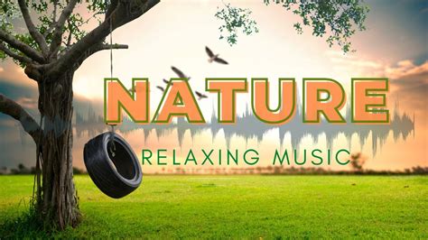 Relaxing Music With Beautiful Nature Relaxing Meditation And Sleeping