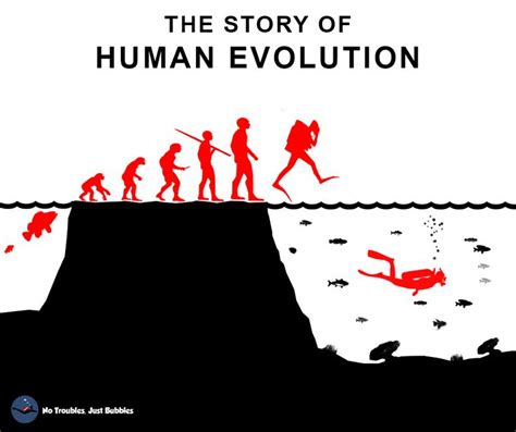 The Story Of Human Evolution Scuba Diving Scuba Diving Diving