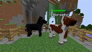 Horse For Mo 39 Creatures 6 0 1 1 6 Version Mods Discussion