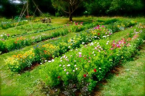 Two Men And A Little Farm Cutting Garden Rows Inspiration Thursday