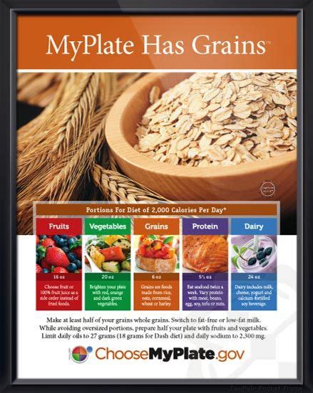Myplate Has Grains Food Nutrition Five Food Groups