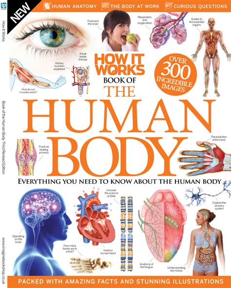 The How It Works Book Of The Human Body Uncovers The Science Of You